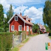 Tranh dán tường cho phòng khách đẹp tại Hà Nội NA - 244